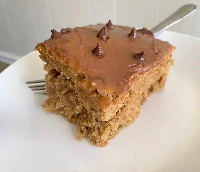 Healthy Vegan Peanut Butter Oat Cake 1 healthy vegan peanut butter oat cake