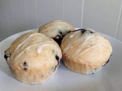 yummy blueberry oats greek yogurt muffins