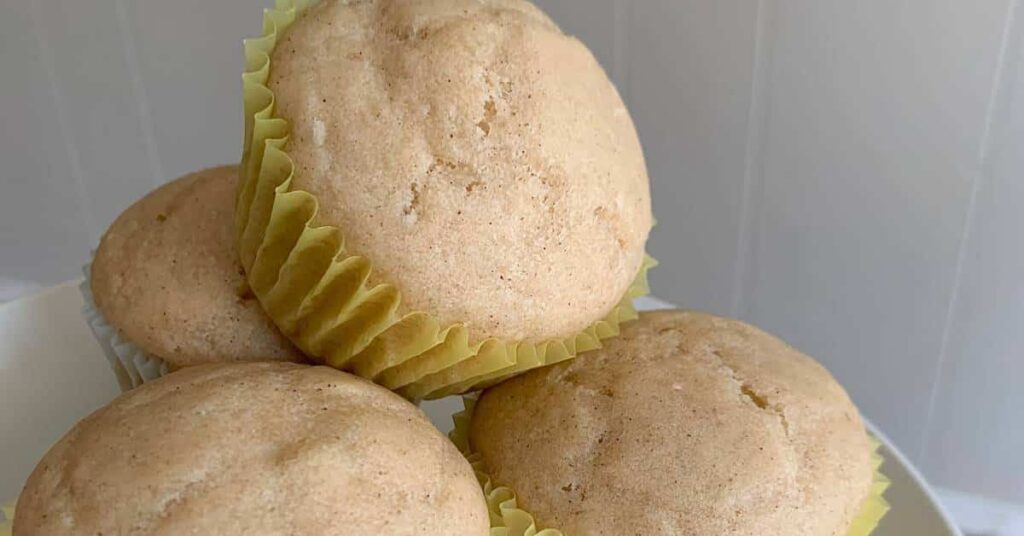 moist and healthy vegan applesauce muffins