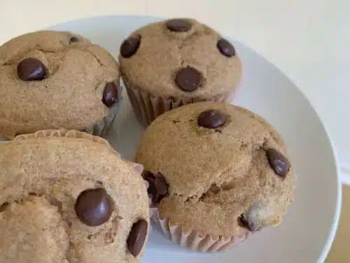 moist einkorn whole-wheat chocolate chip muffins