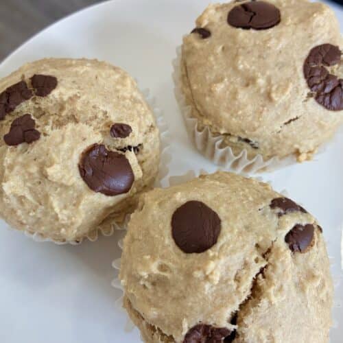 Fluffy healthy oat flour chocolate chip muffins served on a clean white plate