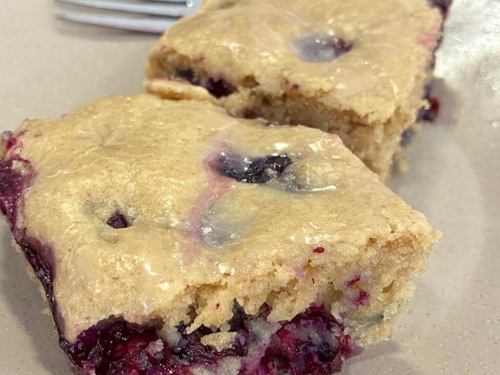 Easy One-Bowl Eggless Blueberry Oat Flour Cake (Low Sugar) 2 Slice of moist eggless blueberry oat flour cake on a plate