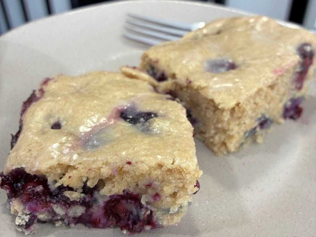 Easy One-Bowl Eggless Blueberry Oat Flour Cake (Low Sugar) 7 Close up view showing the moist texture and crumb of an eggless blueberry oat flour cake