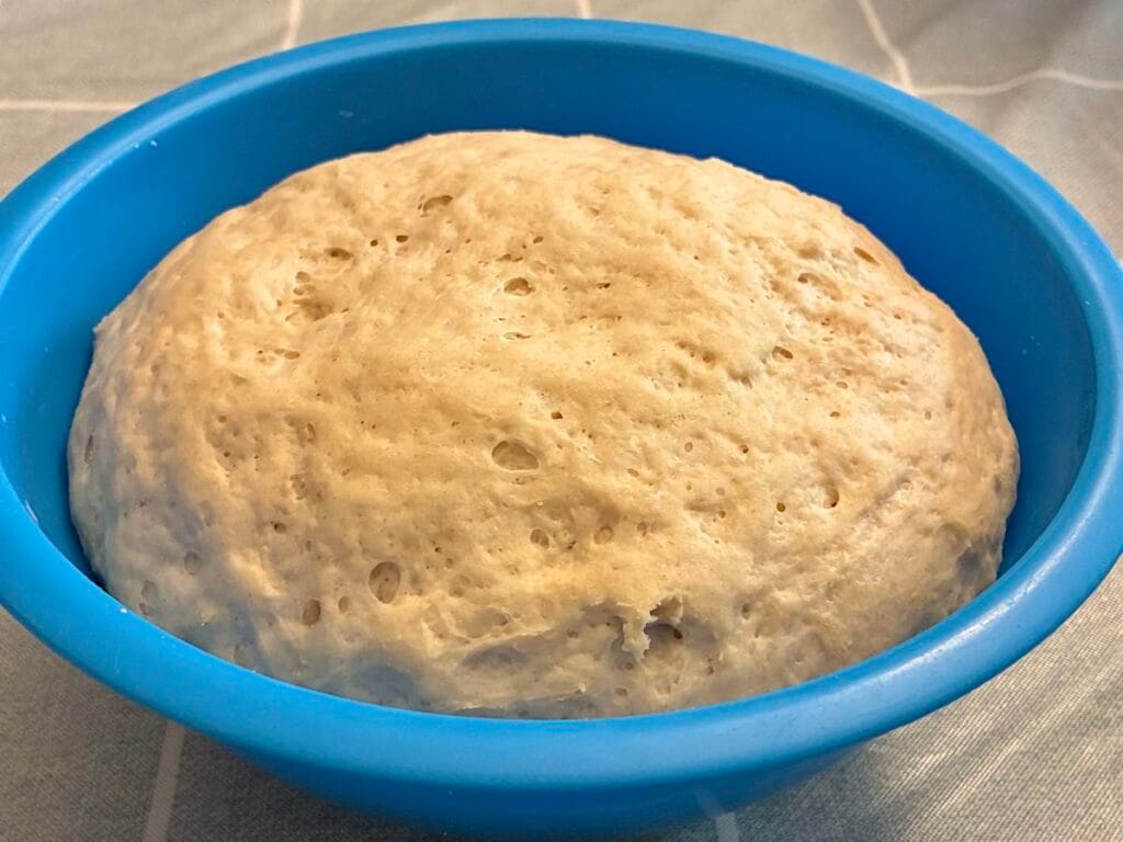 Easy One Bowl Artisan Pizza Dough (With An Oat Flour Twist!) 2 Homemade yeast pizza dough doubled in size inside a blue mixing bowl