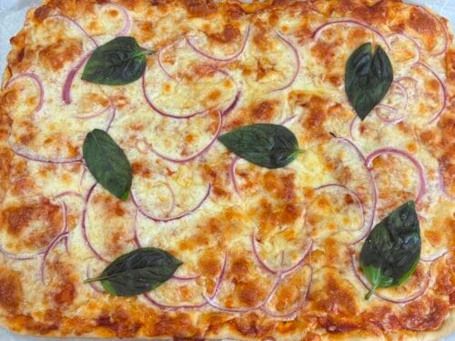 easy one bowl artisan pizza dough
