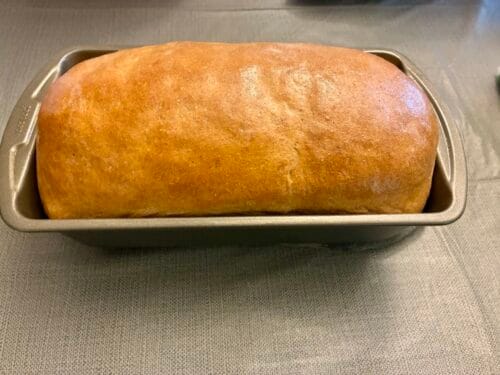 A beautiful golden loaf of homemade honey whole wheat sandwich bread fresh out of the oven, and in a metal loaf pan.