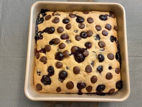 blueberry chocolate chip snack cake