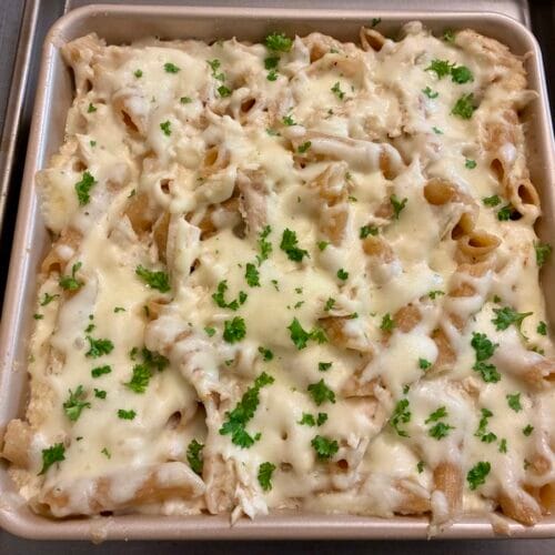 No Chop Chicken Alfredo Pasta Bake
