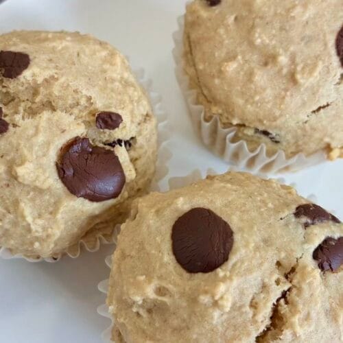 Fluffy healthy oat flour chocolate chip muffins served on a clean white plate