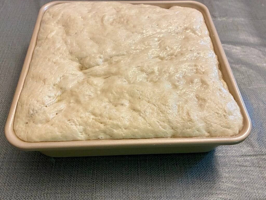Easy 8x8 No-Knead Focaccia (Beginner Friendly) 2 Fluffy no knead rosemary focaccia dough doubled in size and rising inside a Figmint 8x8 metal pan.